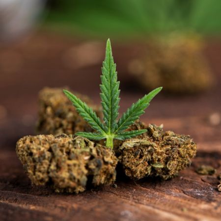 Cannabis image